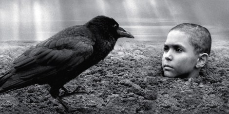 ThePaintedBird_1200x600_v1