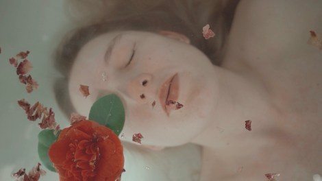 STILL2_[CURIOSUER AND CURIOUSER]